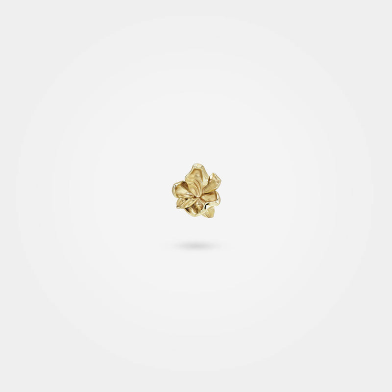 Small flower earrings gold – Organic jewellery with nature-inspired surreal leaves in gold – Livva